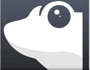 Shiny Frog